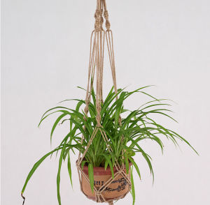 Dây Macramé Thủ Công Diy Treo Giỏ Cây Treo Tường Nghệ Thuật Làm Vườn Lưới Túi Móc Treo Dệt Tay Phong Cách Mỹ Trang Trí Sân Vườn