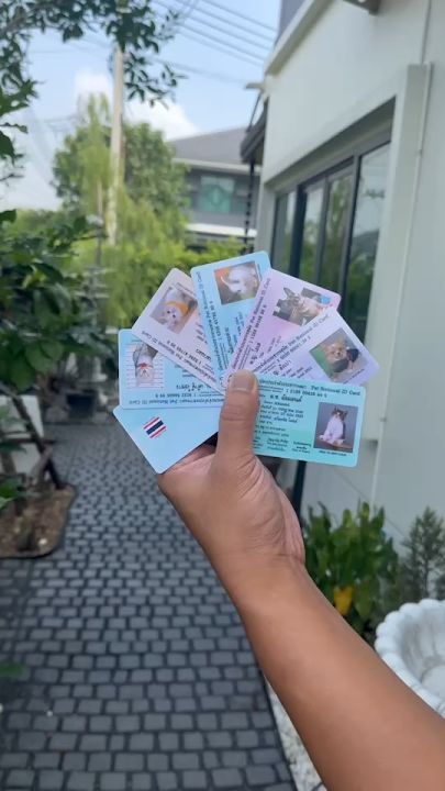 Pet Identity Card  บัตรประชาชนสัตว์เลี้ยง วัสดุแบบบัตรแข็ง PVC บัตรประชาชนหมา บัตรประชาชนแมว มีป้ายชื่อบัตรประชาชนหมาแมวด้วย