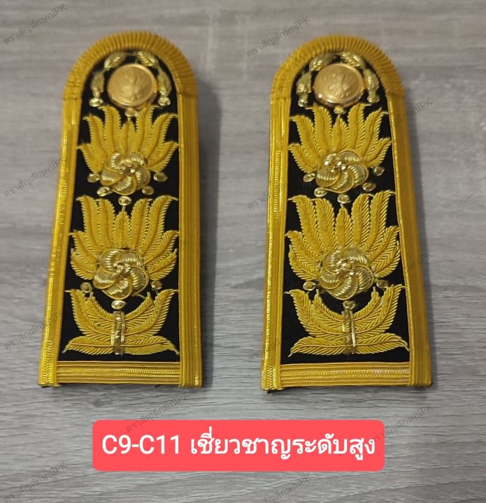 บ่าชุดปกติขาว (C9-C11 ระดับเชี่ยวชาญ ทรงคุณวุฒิ) อินธนูชุดปกติขาวบ่าชุด ...