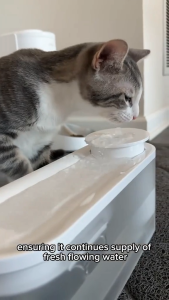 【2 Years Warranty】MOVA WF10 Pro Pet Water Fountain | Multi-Layer Filtration | 3 Water Flow Modes | Wireless Water Pump