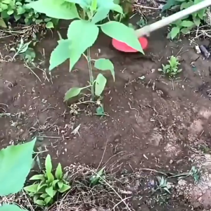 Dual-use Weeding Blade Cutters Disc Multi-functional Weeder Plate Lawn Mower Trimmers 2/5 Teeth Blades Hedge Grass Trimmer Head