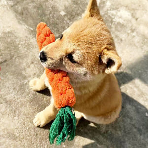 Durable Carrot Shaped Dog Toy for Teething Puppies Teddy Small Dogs Pet Supplies Relief Boredom Rubber Ball Form Dog Toys