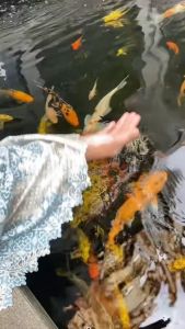 Ayzara - Mukena Dewasa Motif 3in1 Silk Premium Tas Mewah Nazla Series