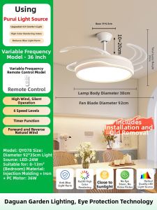 DGY | Invisible Household Ceiling Fan Light