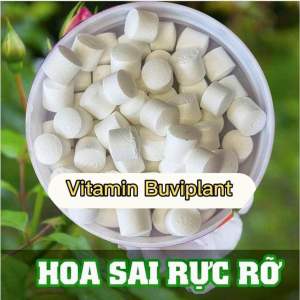Thuốc Vitamin BUVIPLANT dinh dưỡng cho cây hộp 200 viên