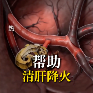 【黄叔平】平干素 1罐 | 清肝排毒 肝净0负担 | 护肝 降火 促进消化排毒 | 熬夜应酬 口苦口臭 火气大 | 1罐80粒
