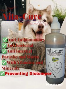 VITA-CURE ANTI DISTEMPER/ANTI BLOATED STOMACH/ 60ML FOR DOGS
