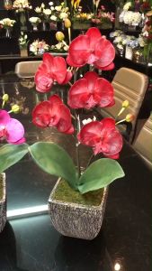 กระถางดอกไม้ประดิษฐ์ กล้วยไม้ปลอมพร้อมกระถาง