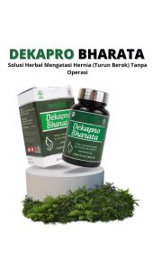 Obat Hernia Varikokel Turun Berok Dekapro Bharata Paling Ampuh Kemasan 250g Isi 30 Kapsul Bpom Halal