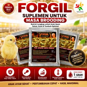Vitamin Ayam - FORGIL - Vitamin Ayam Broiler - Suplemen Ayam - Obat Ayam - Obat Brooding