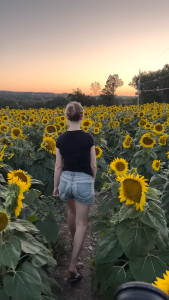 (NEW) SIGMA 35mm f1.2 ART DG DN II for Sony E Mount