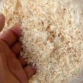 Pet’s dream (CHIPSI SNAKE) 2 kg รองพื้นสำหรับงู ขี้เลื่อยงู แบบนุ่ม เกรดพรีเมี่ยม ขี้เลื่อยสำหรับงู เม่น หนูแฮมสเตอร์. 