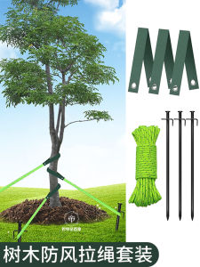 Tree Windproof Strap Plant Support Fixation Tie Garden Horticulture Anti- Buckling Support Strengthening Plant Stakes Rope
