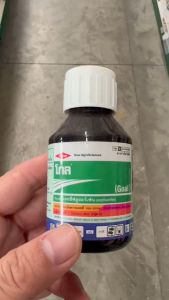 โกล 2 อี ขนาด 100 ซีซี สารออกซีฟลูออร์เฟน ใช้คุมวัชพืชก่อนวัชพืชงอกในพริก หอม มันสำปะหลัง กระเทียม หอมหัวใหญ่ ผักต่างๆ คุมได้นาน 1 เดือน ยาฆ่าหญ้า 100Cc - Lazada