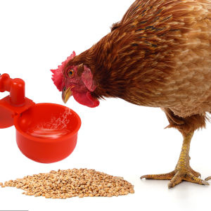 ไม่ปรึกษากับผู้ใช้: ถ้วยรดน้ำไก่อัตโนมัติถ้วยพลาสติกเครื่องให้น้ำสัตว์ปีก