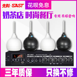 SAST Hanging Ball Audio Store Dedicated Ceiling Speaker Indoor Restaurant Hanging Amplifier Set Ceiling Ceiling Speaker Wireless Bluetooth Supermarket Hanging Wall-Mounted Store Ball Coffee Shop