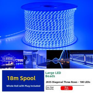 PAIMIJI | Blue LED Light Strip Waterproof Outdoor Use