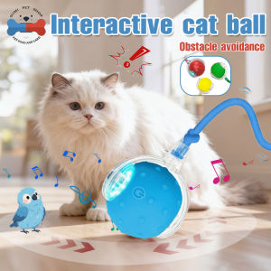Interactive Cat Ball Toy with Bird Sounds Multi-Surface Adaptive Roller USB Rechargeable