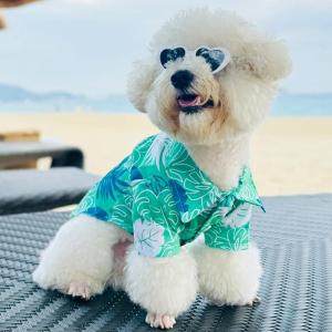 Spring Summer Thin Breathable Shirt for Small Dogs And Cats Anti Shedding Beach Style Teddy Bichon Pomeranian Dog Clothes