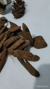 KAYU GAHARU SARANG SEMUT SUMATRA OUD MOHASSAN AGARWOOD ORIGINAL PENGHARUM RUANGAN DUPA BAKAR