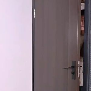 Metal Automatic Closing Door Hinge Adjustable Self Closing Door Spring Hinge