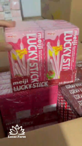 Bánh que Meiji Lucky Stick phủ kem vị dâu strawbery và socola chocolate hộp 45g bánh que ăn vặt giòn ngon Lucas Farm shop