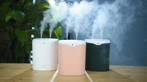 [Free Fragrance Oil!] 2 Liters Double Nozzle Ultrasonic Humidifier with LED Night Light