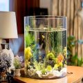 Bình Thủy Tinh Trụ Tròn Dùng Làm Hồ Cá Bể Cá Để Bàn D24 x H30 cm Tặng Kèm Mô Hình Rong Giả Và Sỏi Trang Trí. 