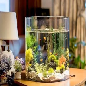 Bình Thủy Tinh Trụ Tròn Dùng Làm Hồ Cá Bể Cá Để Bàn D24 x H30 cm Tặng Kèm Mô Hình Rong Giả Và Sỏi Trang Trí