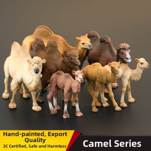 MENGSILE | Mô Hình Động Vật Thật Sự Lạc Đà Một và Hai Bướu