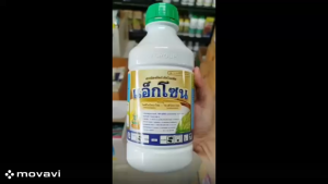 แอ็กโซน ขนาด 1 ลิตรใช้ได้ 20 ไร่ (สารเดียวกับอามูเร่)กําจัดโรคเชื้อรา ใบจุด เน่าคอรวง เมล็ดด่าง กาบใบแห้ง