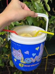 Bình đá mini 1 lít giữ nhiệt hot trend nhựa Tân Lập Thành màu xanh dương