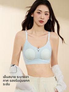 MiiOW | เสื้อชั้นในผู้หญิง MiiOW Cat ไร้โครงบางเฉียบระบายอากาศได้ดี ป้องกันการหย่อนคล้อย ทรงกระบอกเล็ก ไร้โครง เสื้อชั้นในแบบสวมสบาย