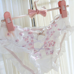 Sweet Embroidered Low Waist Butt Covering Womens Underwear Floral Lace Net Breathable Pure Color Nylon Triangle Panties