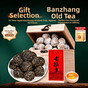 XINYIHAO | Yunnan Raw Pu-erh Tea Ancient Tree Bingdao