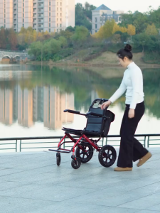 NewProduct Foldable lightweight small and specially designed new portable elderly chair push cart