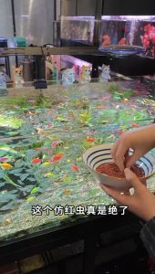 Dried Bloodworm Pellets Fish Food 175g Premium Grade A Quality Makanan Cacing Kering Pellets 红虫干饲料(READY STOCK)