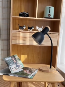 北欧创意台灯，led护眼台灯，大学生宿舍阅读现代床头灯