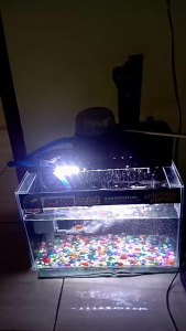 Filter Pompa Komplit Top Filter Box Aquarium 3 In 1 Top Filter SP 1200 Garansi (BOX LEBIH BESAR) FREE BUSA FILTER
