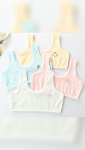 (ST22) AL02 - Áo lá nữ áo lót học sinh cấp 2 cho bé từ 30-40kg Cotton 2 lớp không đệm nhiều hình-nhiều màu dễ thương cho bé