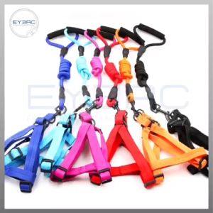 Plain Design Harness with Leash and Foam Handle