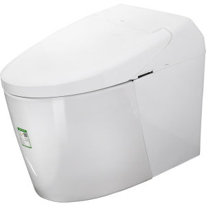 Inductive Warm Water Automatic Flush Toilet