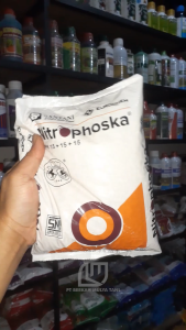 Pupuk NPK 15 15 15 Nitrophoska 1 Kg Kemasan Pabrik Original