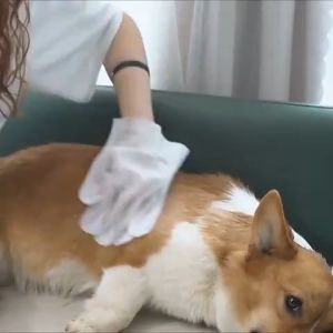 No need to wash - Pet Shampoo 500ml: A Dry Cleaning Bubble for Cats & Dogs