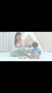 Mainan Bayi Rattle Animals Binatang Baby Toys Hola