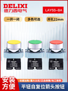 Delixi Resettable Arrow Button Switch LAY5S-BA Red Green Yellow Blue White Black Flat Button Industrial Hardware Tools