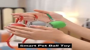 Đồ Chơi Bóng Điện Tương Tác Cho Chó Mèo – LIDO HOUSE SHOP & HOTEL