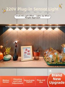 DENGSHANGWENHUA | Human Induction Entryway Light Strip 220v