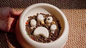 Pet Slow Feeder Bowl Dual Use Food Water Dish Anti Choking Smooth Safe Design Easy To Clean for Cat Small Medium Dog