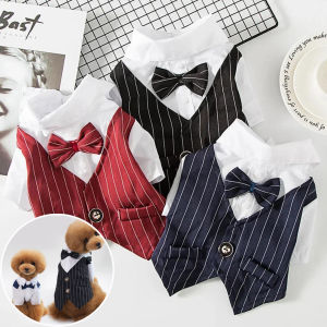 English Style Gentleman Dog Dress Puppy Suit with Tie for Formal Occasions Four Seasons Wedding Pet Photo Teddy Clothes